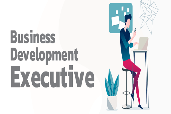Hiring For Business Development Executive Job