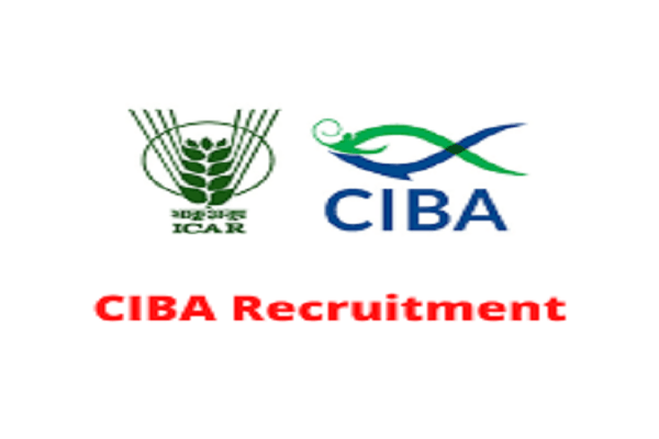 CIBA Recruitment 2022