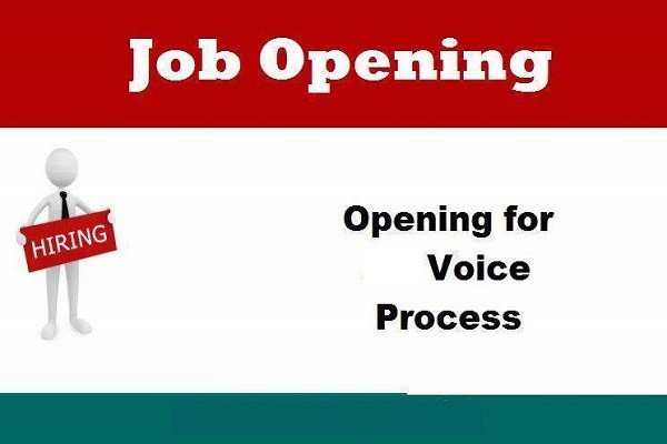 Hiring Work From Home Job For Voice Process