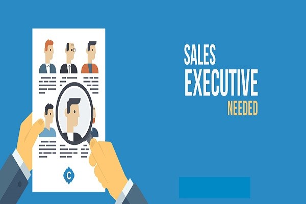 Hiring For Sales Executive
