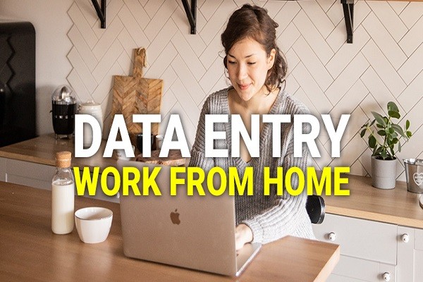 Work  From Home For Data Entry