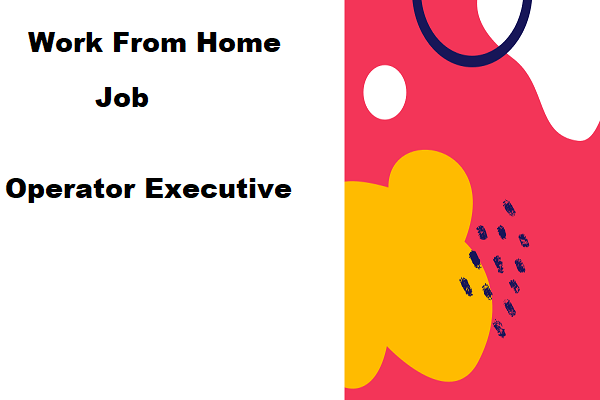 Hiring For Operator Executive At Work From Home