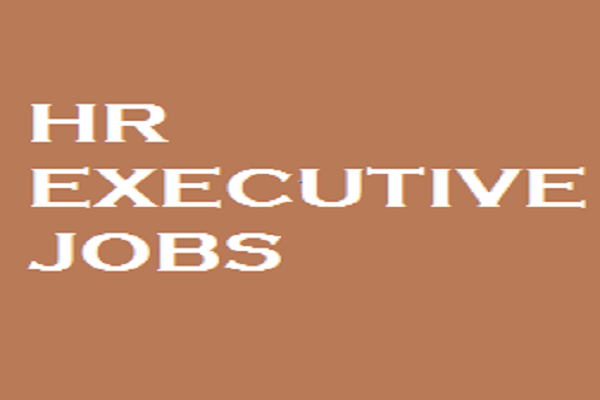 Needed For HR Executive