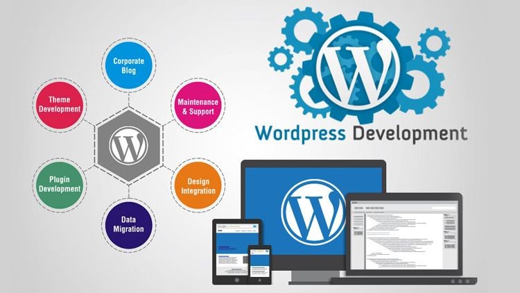 Urgent Recruitment for WordPress Development in Magic Beans at Bangalore