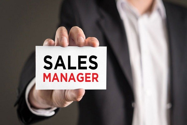 Hiring For Sales Manager Job