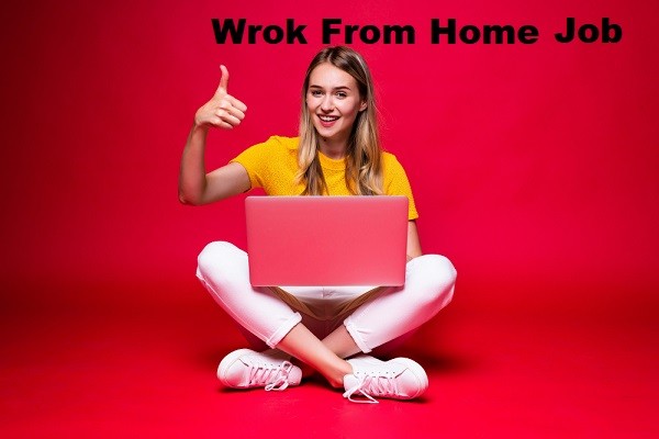 Earn Extra Income From Home For Data Entry Job