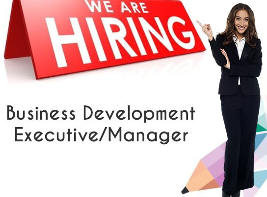 Job Placement for Business Development Manager (Female) in Adecco India at Hyderabad