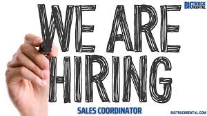 Job Placement for Telecaller/Sales Coordinator (IT Sales) in Qlb Marketing Insights at Pune